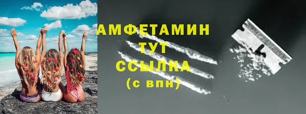 индика Няндома