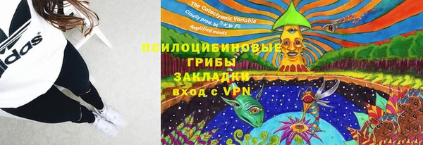 jwh Богородицк