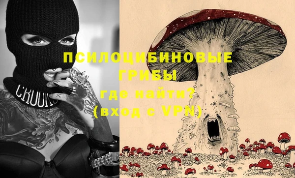 гидропоника Богданович